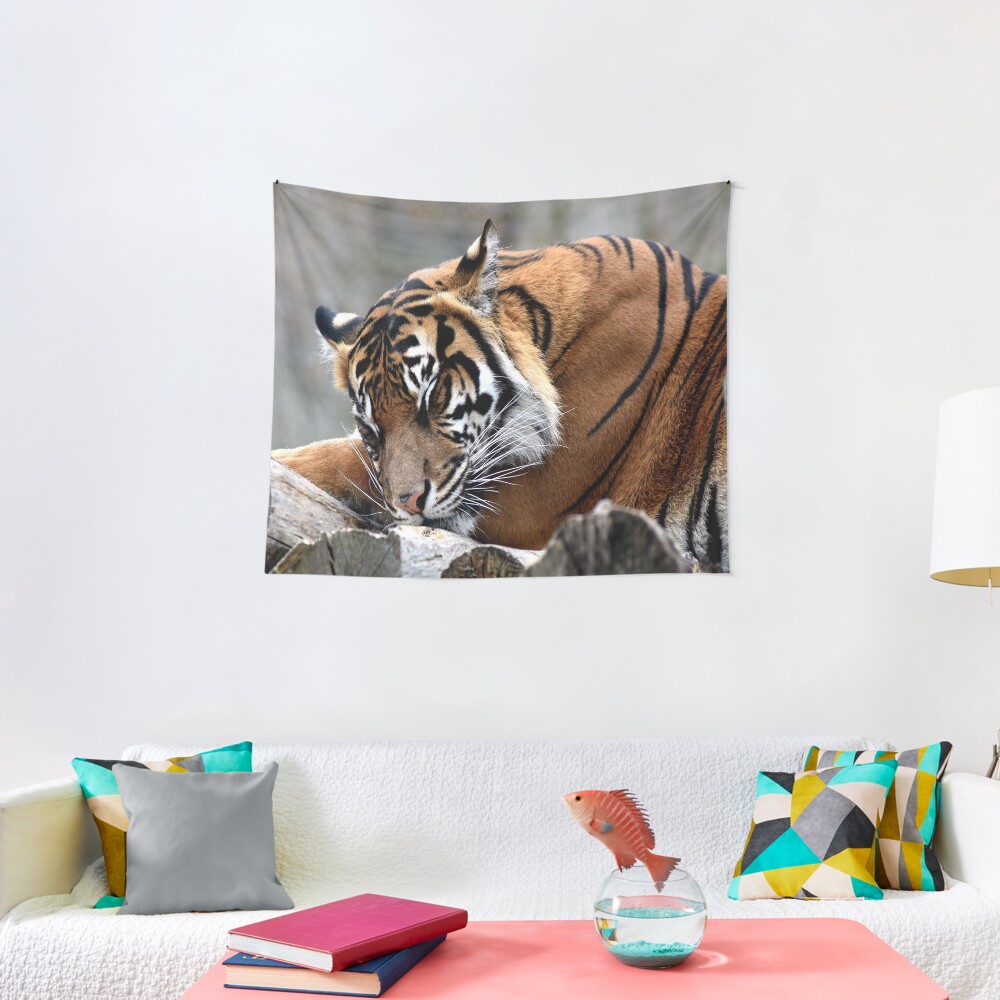 Sleeping tiger Tapestry