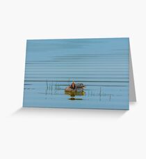 Sleeping Eurasian Teal Greeting Card