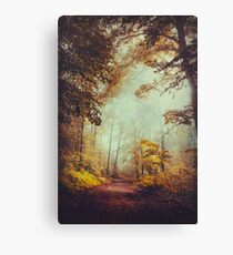 silent forest Canvas Print