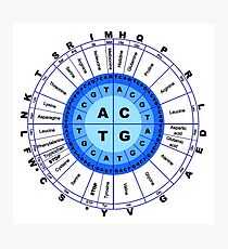DNA, Genetischer Code, Kreis, Gen, Codon, Aminosäure, Fotodruck
