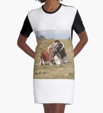 english longhorn Graphic T-Shirt Dress