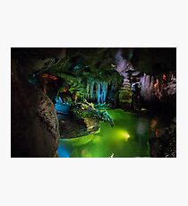 Dragon Photographic Print