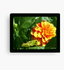 LUNCH TIME Canvas Print