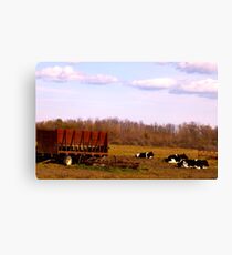 Country Life Canvas Print