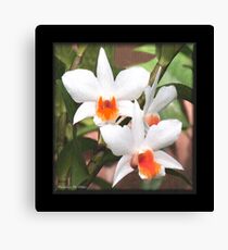 Painted Orchids Canvas Print