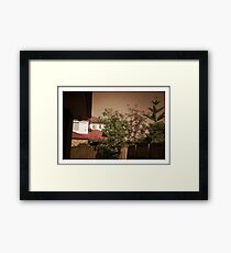 My backyard - Pinhole photography Framed Print