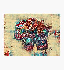 Vintage Elephant TShirt Photographic Print
