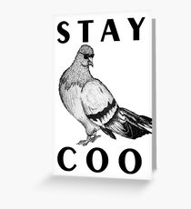 STAY COO Pigeon Greeting Card