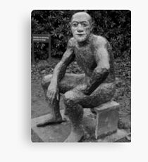 Sculpture Canvas Print