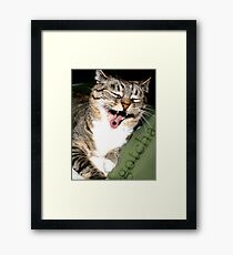 Insanity runs through every twig on my family tree Framed Print