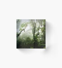 Cloud Forest Acrylic Block