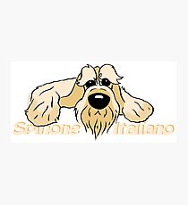 Cute, blond Spinone Italiano Photographic Print