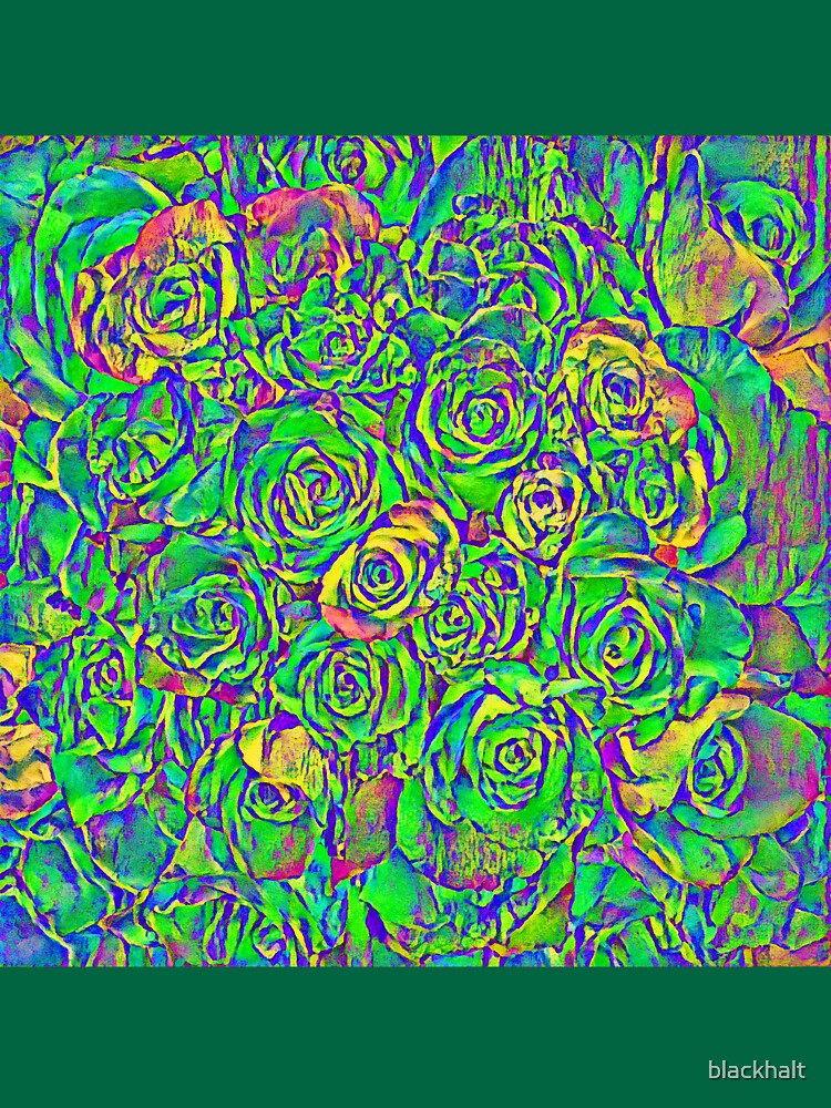 Roses by blackhalt