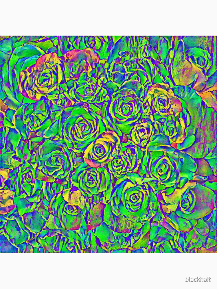Roses by blackhalt