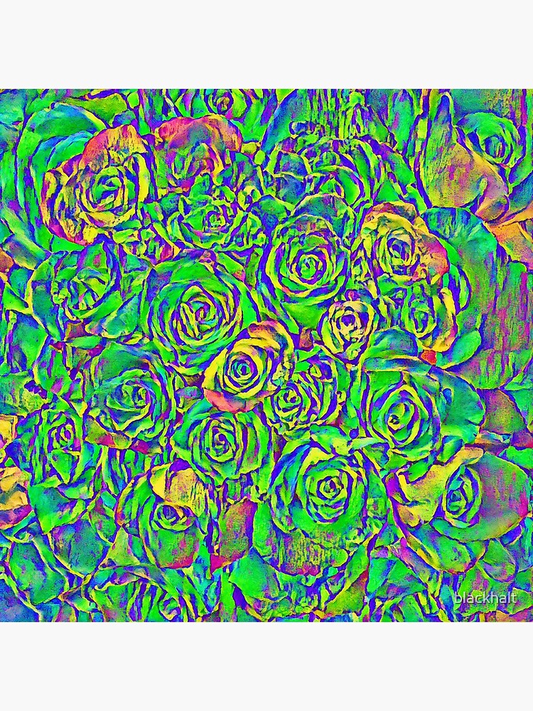 Roses by blackhalt