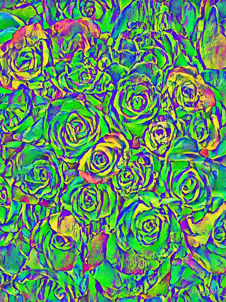 Roses by blackhalt