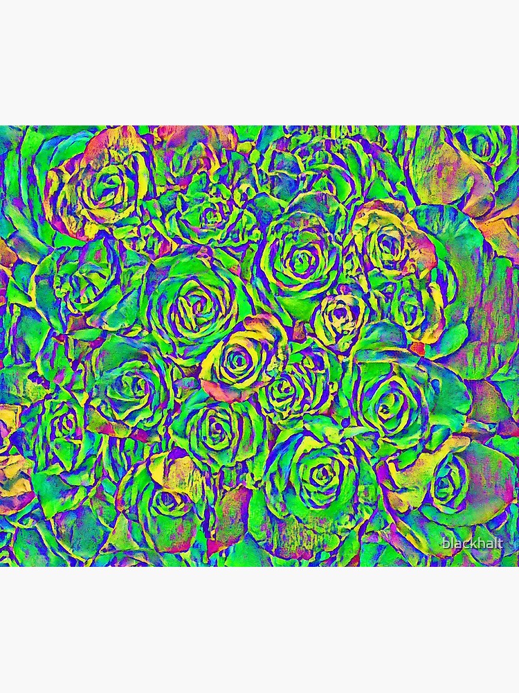 Roses by blackhalt