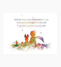 Little Prince Fox Photographic Print