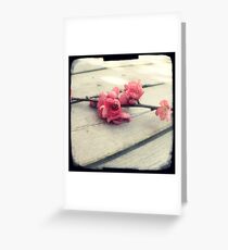 Apple blossom Greeting Card