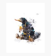 Niffler Photographic Print