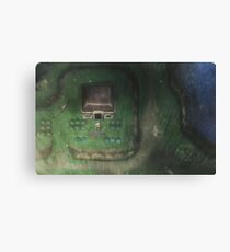 Through the Night Canvas Print