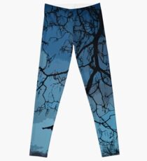 Bare Branches At Dusk Leggings