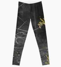 Unseen ... but Felt. Leggings