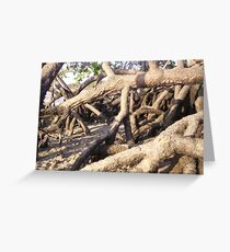 Mangroves Greeting Card