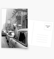 Lama - NYC Postkarten