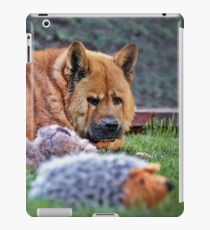 Toys iPad Case/Skin