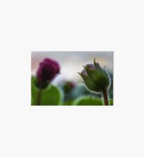 Flower macro Art Board