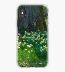 SPRING HAS SPRUNG iPhone Case