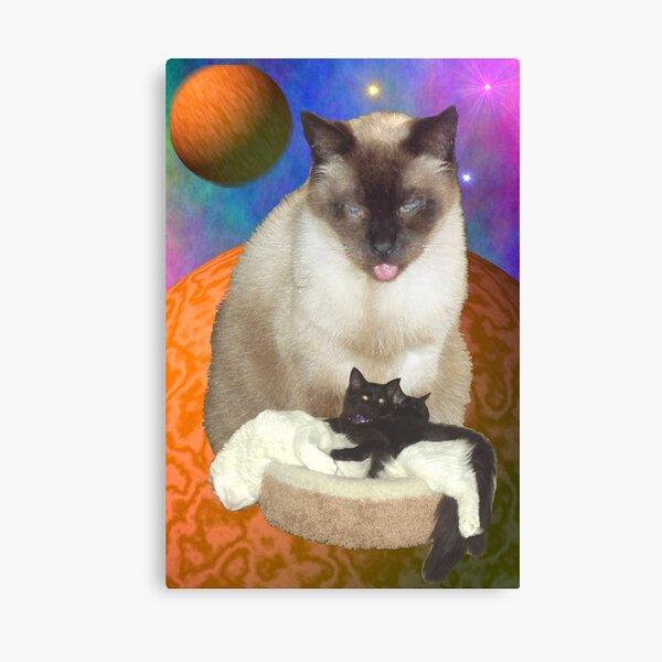Cats in Space 8 Canvas Print