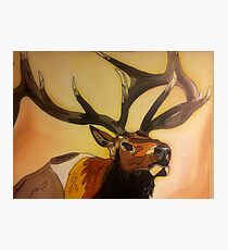 "Casanova" - Elk Painting Photographic Print