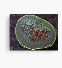 Smart fig Canvas Print