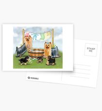 Laundry Day Postcards