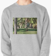 Sudadera sin capucha Persiguiendo un globo