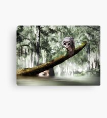 The Naiad Canvas Print