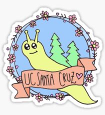 UC Santa Cruz Color Sticker