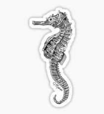 Seahorse Sticker