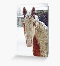 Frosted Greeting Card