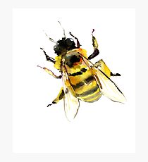Bee Photographic Print
