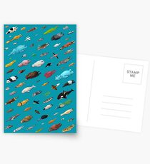 Sleeping Animals Postcards
