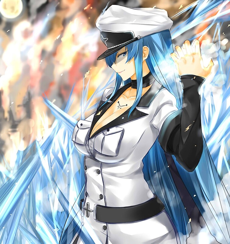 Esdeath: Posters | Redbubble