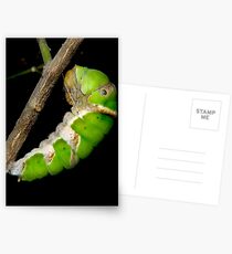 Hanging On Postcards
