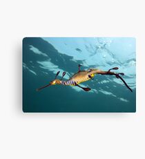 Weary Weedy Canvas Print