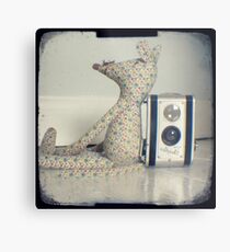 Mouse and camera Metal Print