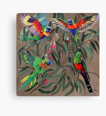 Birds from Paradise. Rosellas Canvas Print