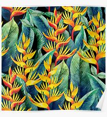 Watercolor heliconia Poster