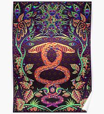 Psychedelic Ayahuasca snake spirit Poster